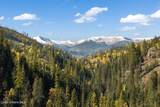 6684 Upper Pack River Rd - Photo 3