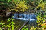 6684 Upper Pack River Rd - Photo 4
