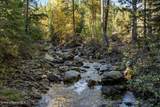6684 Upper Pack River Rd - Photo 45