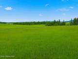 NKA Sunset Drive - Photo 10