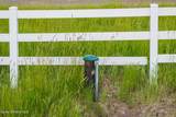 5603 Cottontail Ct - Photo 47