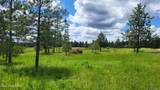 6202 Wood Ln - Photo 19