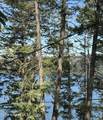 307 Rocky Point Loop Rd - Photo 7