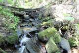 788 Gold Cup Mountain Rd - Photo 36