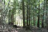 788 Gold Cup Mountain Rd - Photo 37