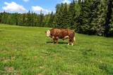 13962 Dufort Rd - Photo 80