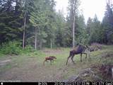 13962 Dufort Rd - Photo 83