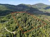 17378 Freddi Rd - Photo 5