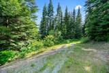 17378 Freddi Rd - Photo 68