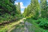 17378 Freddi Rd - Photo 69