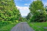17378 Freddi Rd - Photo 71