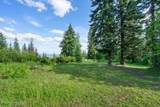 17378 Freddi Rd - Photo 77