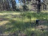 NKA(Lot 3) Baby Cougar Lane - Photo 12