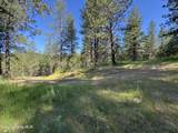 NKA(Lot 3) Baby Cougar Lane - Photo 6