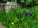 1019 Starling Ave - Photo 40