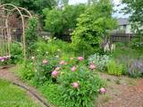 1019 Starling Ave - Photo 41