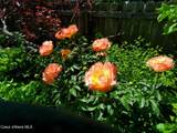 1019 Starling Ave - Photo 42