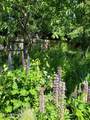1019 Starling Ave - Photo 43