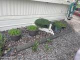 111 Gun Club Rd - Photo 3