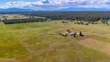 29399 Clagstone Rd - Photo 58
