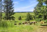 17765 Rew Rd - Photo 51