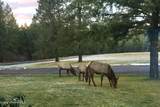 6502 Highview Dr - Photo 32