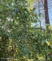 151 View Rd - Photo 8