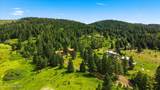 3132 Windfall Pass Rd - Photo 56