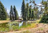 8831 Coyote Trail Rd - Photo 14
