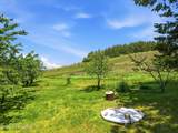 2157 Rolling Hills Rd - Photo 12
