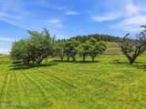 2157 Rolling Hills Rd - Photo 14