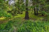 6864 Sunnyside Rd - Photo 52