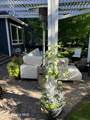 418 Riviere Ct - Photo 68