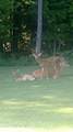 518 High Rd - Photo 43