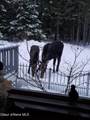 518 High Rd - Photo 44
