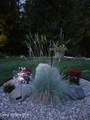 518 High Rd - Photo 45