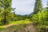 4345 Wilcox Rd - Photo 86
