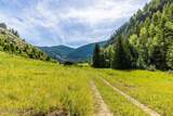 4345 Wilcox Rd - Photo 9