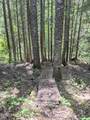 1628 Morris Rd - Photo 31