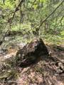 1628 Morris Rd - Photo 33