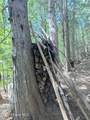 1628 Morris Rd - Photo 35