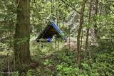 2307 Gold Creek Ridge Rd - Photo 45