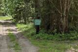 2307 Gold Creek Ridge Rd - Photo 46