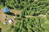 2307 Gold Creek Ridge Rd - Photo 49