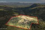 1791 Pup Paw Trl - Photo 35