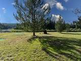 5653 Gleason Mcabee Falls Rd - Photo 28