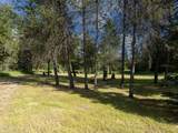 5653 Gleason Mcabee Falls Rd - Photo 33