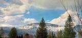 7443 Macaw Ln - Photo 27
