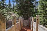 1018 Mogul Hill Rd - Photo 73