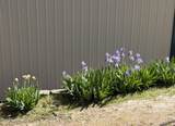 14751 Smith Ave - Photo 41